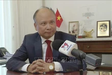 El embajador de Vietnam en Francia, Dinh Toan Thang (Fotografía: VNA)