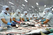 Procesamiento del pescado Tra para la exportación (Fotografía: VNA)