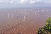 Energía eólica marina: nueva fuerza impulsora para sector del petróleo y gas. (Foto: baodautu.vn)