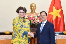 El viceprimer ministro y titular de Relaciones Exteriores, Bui Thanh Son, recibe a la embajadora de Alemania en Vietnam, Helga Margarete. (Foto: VNA)