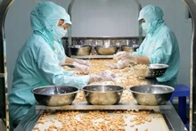 Entre las industrias que más se benefician del EVFTA, destaca el sector agrícola de Vietnam. (Foto ilustrativa: VNA)