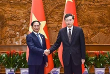 Los cancilleres vietnamita Bui Thanh Son y chino Qin Gang (Fotografía: VNA)