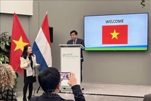 El Ministro de Planificación e Inversión de Vietnam, Nguyen Chi Dung, en el evento (Fotografía: VNA)