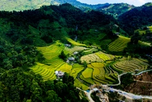 Fotografía: thanhnien.vn