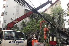 Electricistas reparan los postes de luz caídos a causa de la tormenta. (Foto: VNA)