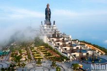 [Foto] El mágico mar de nubes en cima de montaña vietnamita