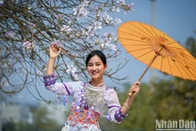 [Foto] Belleza de muchachas del noroeste en temporada de flores de Ban