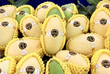 El mango de An Giang (Foto: VNA)