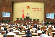 Panorama de la sesión (Foto: VNA)