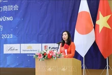 Le Thi Thu Hang, viceministra de Relaciones Exteriores de Vietnam (Foto: VNA)