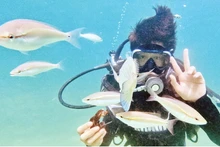 Turistas practican buceo en la isla de Co To.