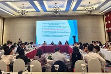 El panorama de la sesión. (Foto: baodautu.vn)