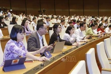 Diputados participantes en la cita (Foto: VNA)