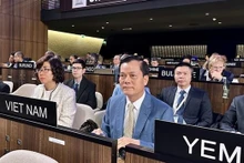 El vicecanciller Ha Kim Ngoc en la cita. (Foto: VNA)