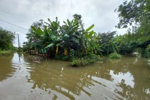 Fuertes lluvias provocan inundaciones en el distrito de Quang Dien, provincia central de Thua Thien-Hue. (Foto: VNA)