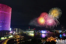 [Foto] Ciudad Ho Chi Minh: Brillantes fuegos artificiales para dar bienvenida al Año Nuevo Lunar 2025