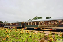 [Foto] Lanzan en Da Lat tren turístico "La reine" 