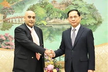 El viceprimer ministro y canciller vietnamita, Bui Thanh Son, y Ali Ijaz Ahmad, presidente del Grupo Makara Capital. (Foto: VPG)