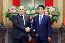 El presidente de Vietnam, Luong Cuong (derecha), recibe al primer ministro de Rusia, Mikhail Mishustin. (Foto: VNA)