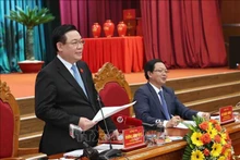 El presidente de la Asamblea Nacional de Vietnam, Vuong Dinh Hue, interviene en la cita (Foto: VNA)