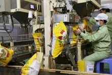 En 2023, Vietnam exportó más de 8,1 millones de toneladas por un valor de 4,6 mil millones de dólares. (Foto: VNA)
