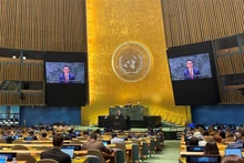 El embajador Dang Hoang Giang pronuncia su discurso en la sesión de debate. (Foto: VNA)