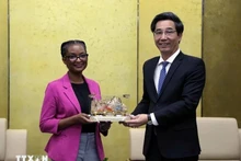 El vicepresidente del Comité Popular de Da Nang, Tran Chi Cuong, (derecha) y la subsecretaria principal de la Oficina de Asuntos Internacionales de Narcóticos y Aplicación de la Ley (INL) del Departamento de Estado de Estados Unidos, Shelby Smith-Wilson. (Foto: VNA)