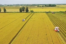 (Foto: VNA)