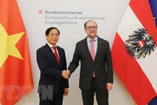 El ministro de Relaciones Exteriores de Vietnam, Bui Thanh Son (izquierda) y su homólogo austriaco, Alexander Schallenberg. (Foto: VNA)