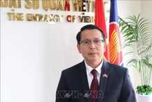 El embajador vietnamita en Nueva Zelanda, Nguyen Van Trung. (Fuente: VNA)