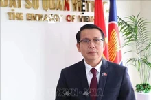 El embajador vietnamita en Nueva Zelanda, Nguyen Van Trung. (Foto: VNA)