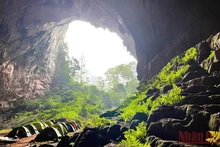 Diario británico recomienda seis destinos imprescindibles en Vietnam
