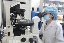 Actividades de investigación científica en la Universidad Nacional de Ciudad Ho Chi Minh. 