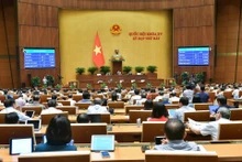 Panorama del evento (Foto: baotainguyenmoitruong.vn)