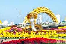 [Foto] Calle de flores primaverales de Da Nang se llena de visitantes