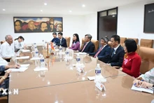 La delegación del Comité del Partido Comunista de Vietnam en la provincia de Dong Nai, se encuentra con Emilio Lozada García, miembro del Comité Central del PCC y jefe de su Departamento de Relaciones Exteriores. (Foto: VNA)