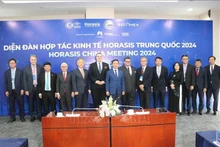 El viceprimer ministro vietnamita Tran Hong Ha y la delegación empresarial de Europa (Foto: VNA)