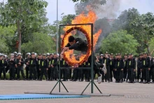 Fuerza Móvil de la Policía: Escudo de acero en la carrera de protección de la seguridad nacional