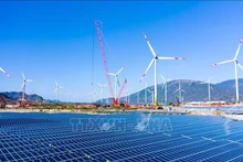 El complejo de energía renovable del grupo Trung Nam invierte en el distrito de Thuan Bac (Ninh Thuan). (Foto: VNA)