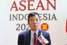 El embajador Vu Ho, jefe interino de la Reunión de Alto Nivel de Asean (Foto: VNA)