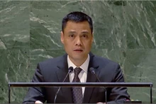 El embajador Dang Hoang Giang, jefe de la misión de Vietnam ante la ONU (Foto: VNA)