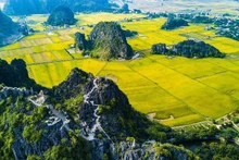 Provincia vietnamita de Ninh Binh, un destino atractivo para los turistas