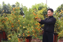 (Foto: hanoimoi.com.vn)