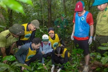 Gestionar y utilizar de forma sostenible los recursos naturales, proteger el medio ambiente y la biodiversidad para fomentar un turismo duradero son objetivos clave de la Estrategia de Desarrollo Turístico de Vietnam hasta 2030. (Foto: Nhan Dan)