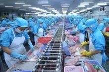 Procesamiento de productos acuáticos para la exportación (Foto: VNA)