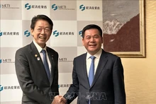 El ministro de Industria y Comercio de Vietnam, Nguyen Hong Dien (derecha), y el titular de Economía, Comercio e Industria de Japón, Muto Yoji. (Foto: VNA)