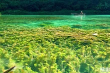 [Foto] Principios de otoño en Trang An
