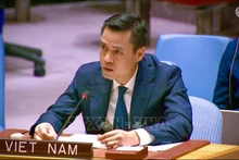 El embajador Dang Hoang Giang, jefe de la misión permanente de Vietnam ante la Organización de las Naciones Unidas (Foto: VNA)
