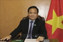 El embajador vietnamita en Perú, Bui Van Nghi. (Foto: VNA)
