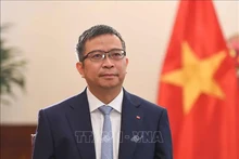 El viceministro de Relaciones Exteriores de Vietnam, Pham Thanh Binh. (Foto: VNA)